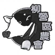 柳營區農會及圖