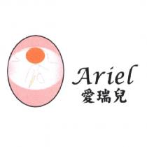 愛瑞兒 Ariel 及圖