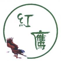 紅鷹及圖