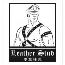 皮革種馬 Leather Stud 及圖