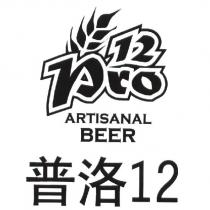 普洛 12 及 pro12 設計圖
