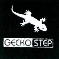 GECKO STEP 及圖