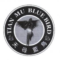 天母藍鳥 TIANMU BLUE BIRD 及圖