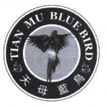 天母藍鳥 TIANMU BLUB BIRD 及圖