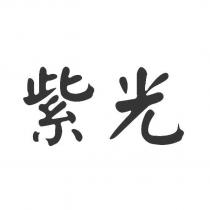 紫光