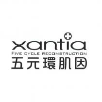 五元環肌因 FIVE CYCLE RECONSTRUCTION 及 xantia 設計圖