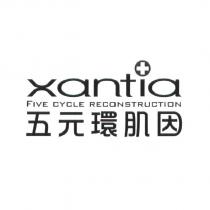 五元環肌因 FIVE CYCLE RECONSTRUCTION 及 xantia 設計圖