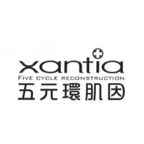 五元環肌因 FIVE CYCLE RECONSTRUCTION 及 xantia 設計圖