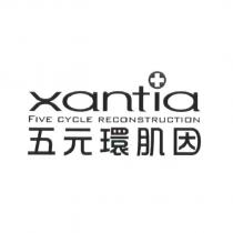 五元環肌因 FIVE CYCLE RECONSTRUCTION 及 xantia 設計圖