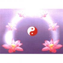 蓮花太極圖