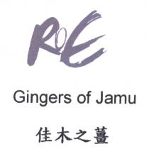 ROE Gingers of Jamu 佳木之薑