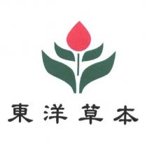 東洋草本及圖