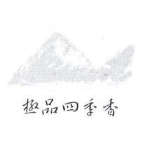 極品四季香及圖