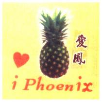 愛鳳 i phoenix 及圖