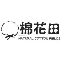 棉花田 NATURAL COTTON FIELDS 及圖