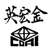 金宏英及圖 COAI 