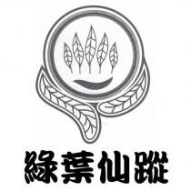 綠葉仙蹤及圖