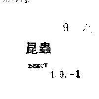 昆蟲 INSECT
