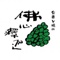 台東ㄚ揚的佛心釋迦及圖