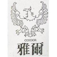 雅爾及圖 CONDOR