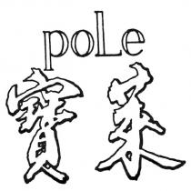 寶萊 pole