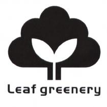 Leaf greenery 及圖