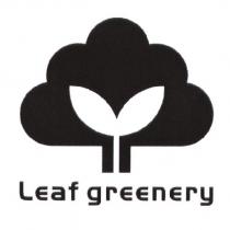 Leaf greenery 及圖