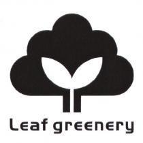 Leaf greenery 及圖