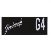 Gainsborough G4 Device