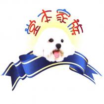 堂本家族及圖