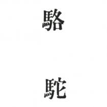 駱駝