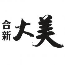 合新大美