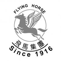 飛馬集團及設計圖