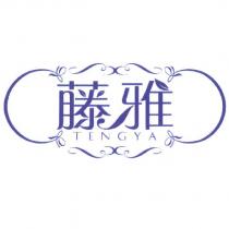 藤雅 TENGYA 及圖