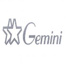 Gemini 及圖