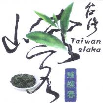 台灣峽客 Taiwan siaka 碧螺春及圖