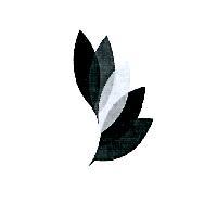 設計圖-花瓣