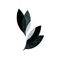 設計圖-花瓣