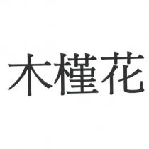 木槿花