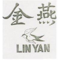 金燕 LIN YAN 及圖