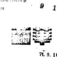 西華