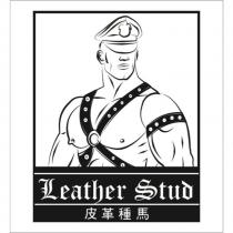 皮革種馬 Leather Stud 及圖