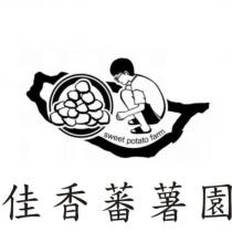 佳香蕃薯園及圖 sweet potato farm