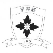 常春藤及圖 Ivy