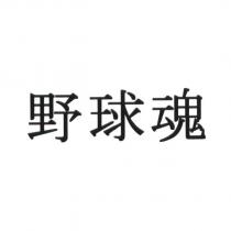 野球魂