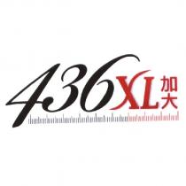 436XL 加大及圖