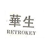 華生 RETROKEY 