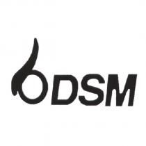 bdsm 及圖