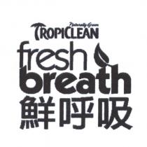 fresh breath 鮮呼吸 TROPICLEAN naturally green 設計圖
