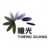 瞳光 TORNG GUANG 及圖